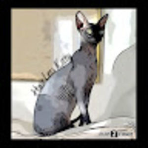 Meet your Posher, Hairless